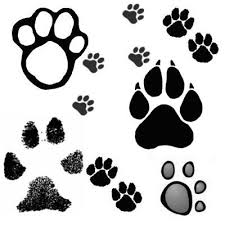 A variety of animal tracks